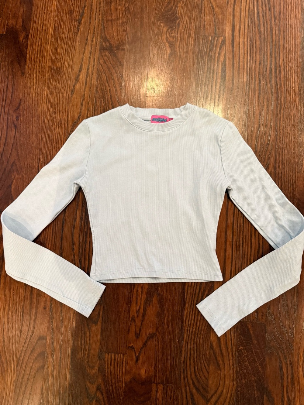 Edikted Pastel Blue Ribbed Crewneck Crop Top